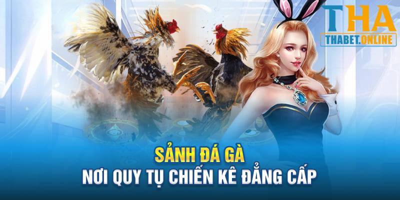 Những ưu điểm thu hút sự chú ý người dùng của đá gà Thabet